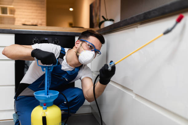 Best Bed Bug Extermination  in Resaca, GA