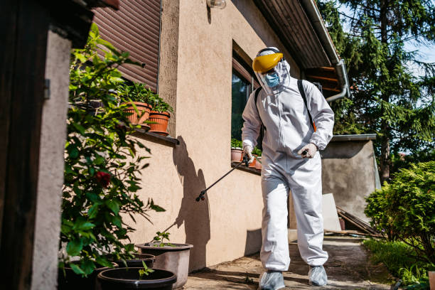 Best Mosquito Control Services  in Resaca, GA