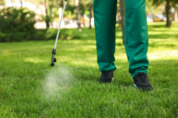 Best Flea Control Services  in Resaca, GA