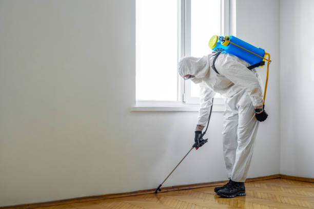 Best Affordable Pest Control Services  in Resaca, GA