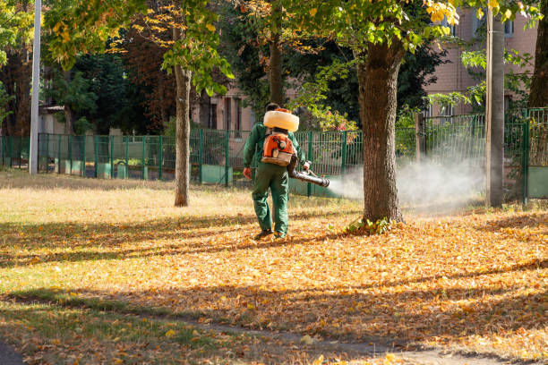 Best Bed Bug Extermination  in Resaca, GA