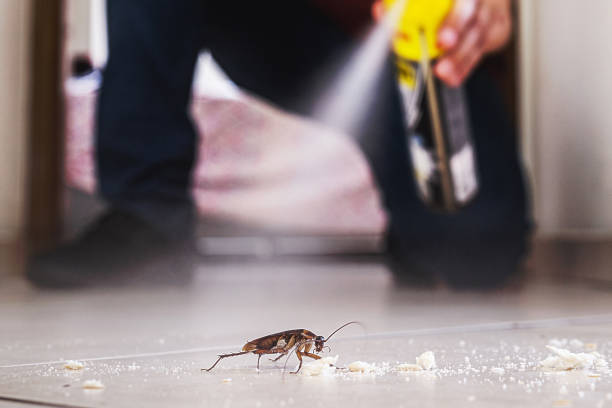Best Residential Pest Control  in Resaca, GA