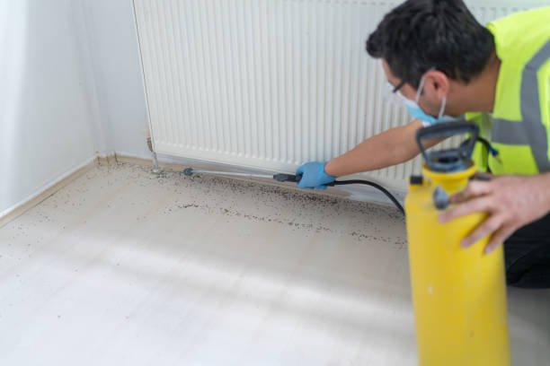 Best Pest Inspection Near Me  in Resaca, GA